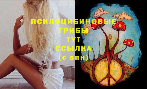 прущие грибы Нязепетровск