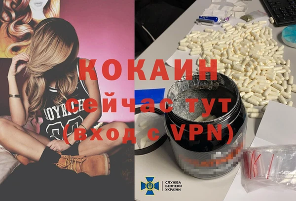 прущие грибы Нязепетровск