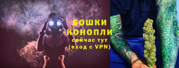 прущие грибы Нязепетровск