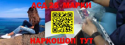 прущие грибы Гатчина