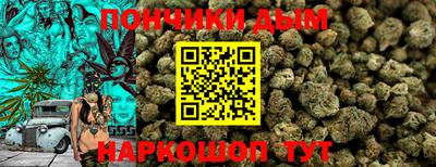 прущие грибы Гатчина