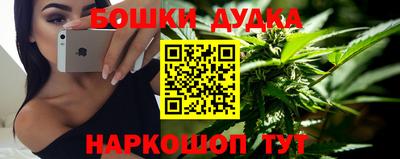 прущие грибы Гатчина