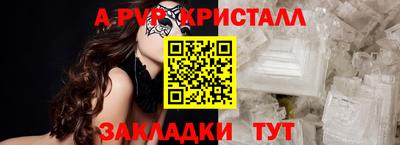 прущие грибы Гатчина