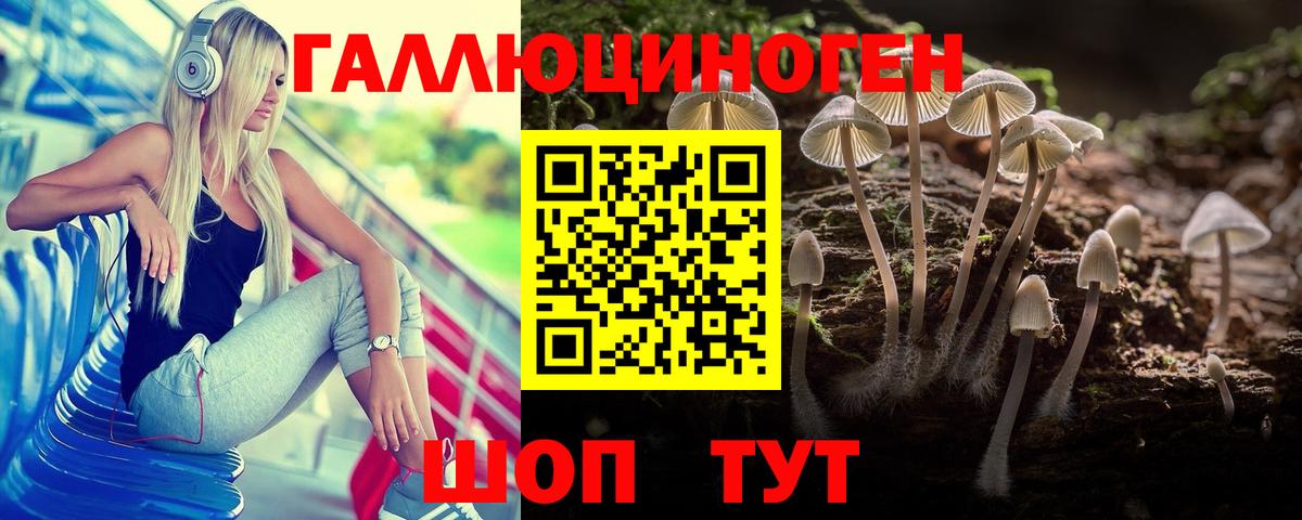 Псилоцибиновые грибы мицелий  Унеча  Псилоцибиновые грибы ЛСД 